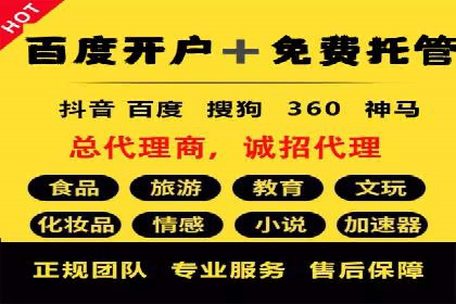 百度SEM代运营案例揭秘，如何实现ROI最大化